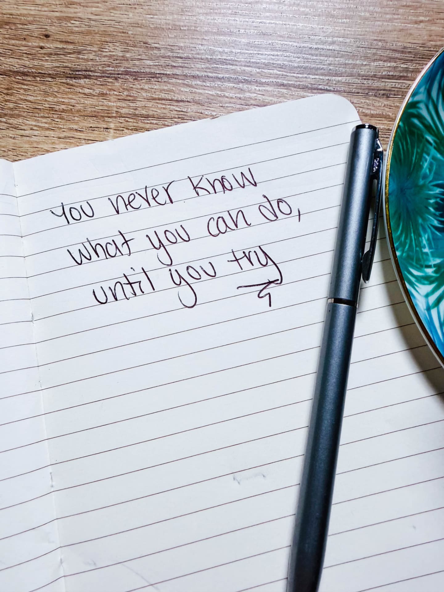 Heather's notebook reading: You never know what you can do, until you try