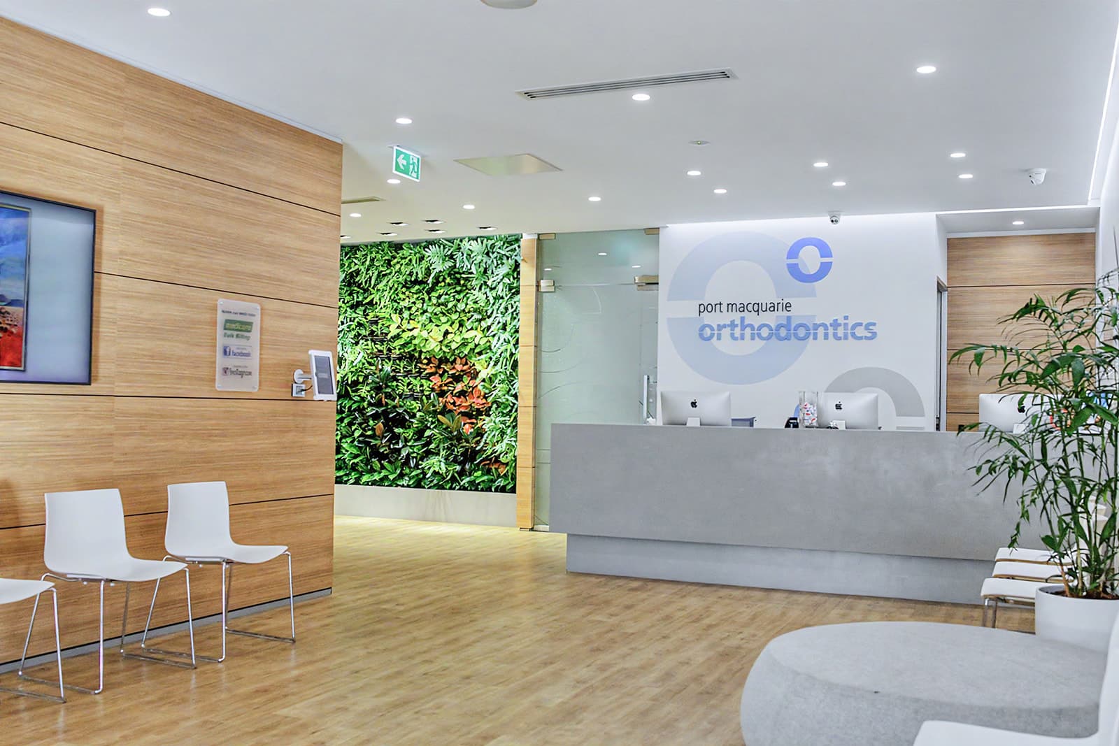Port Macquarie Orthodontics reception with timber panelling, a living green wall and illuminated logo